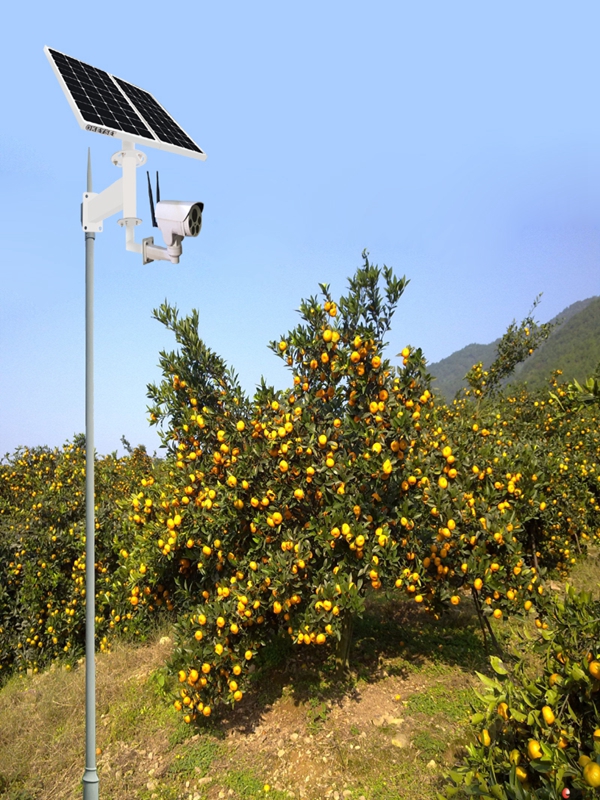 四川达州果园用太阳能无线监控系统