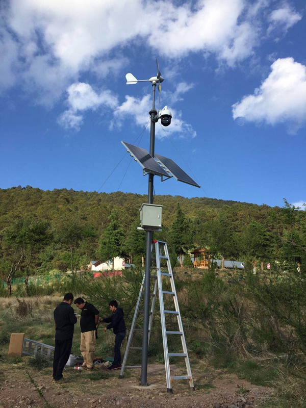 Solar energy wireless monitoring system with complementary wind and solar energy for security in state-owned forest area