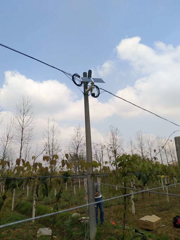 新疆果园用 OKEYSET 太阳能无线监控一体机
