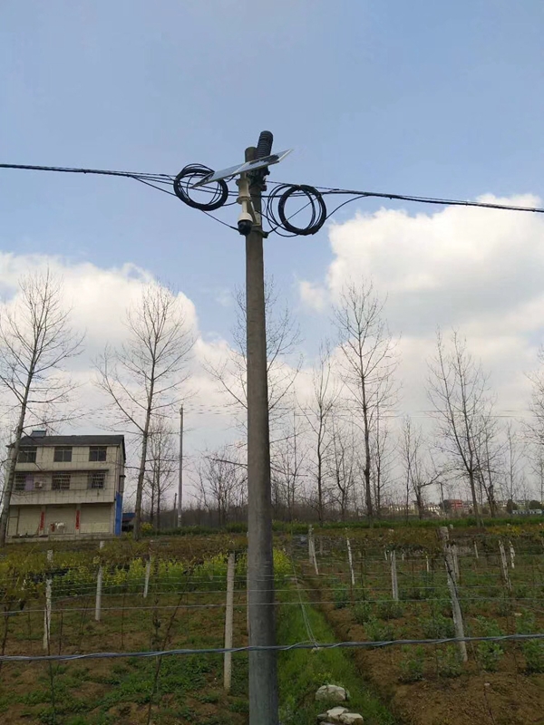 新疆葡萄园用 OKEYSET 太阳能无线监控一体机