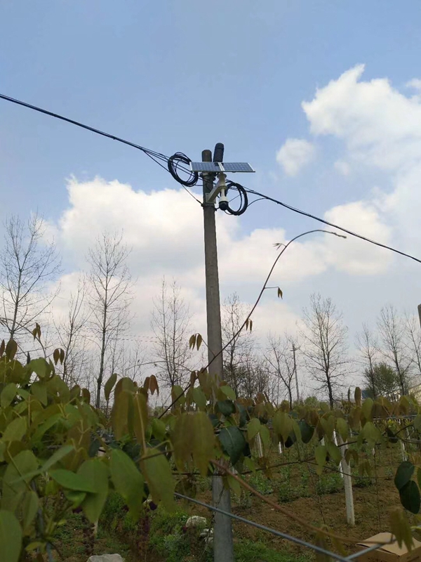 新疆哈密大型农场用 OKEYSET 太阳能无线监控一体机