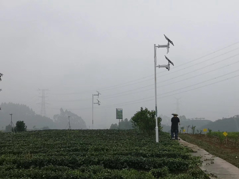 重庆中药材基地用okeyset太阳能监控摄像头