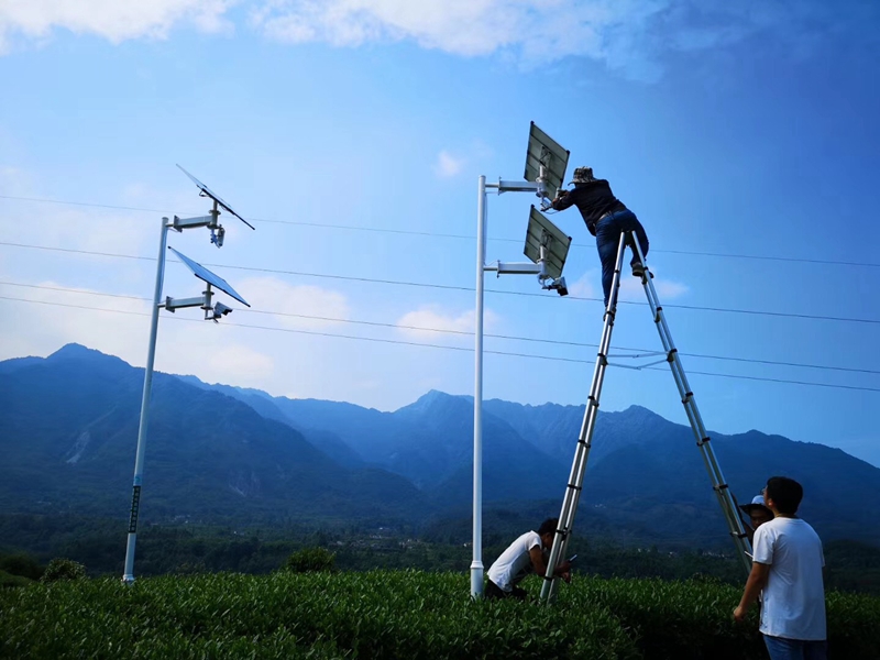 四川乐山高原茶叶基地用okeyset太阳能监控摄像头