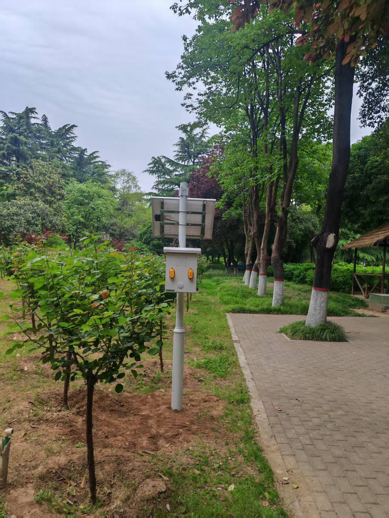 陕西环保局月季园应用案例