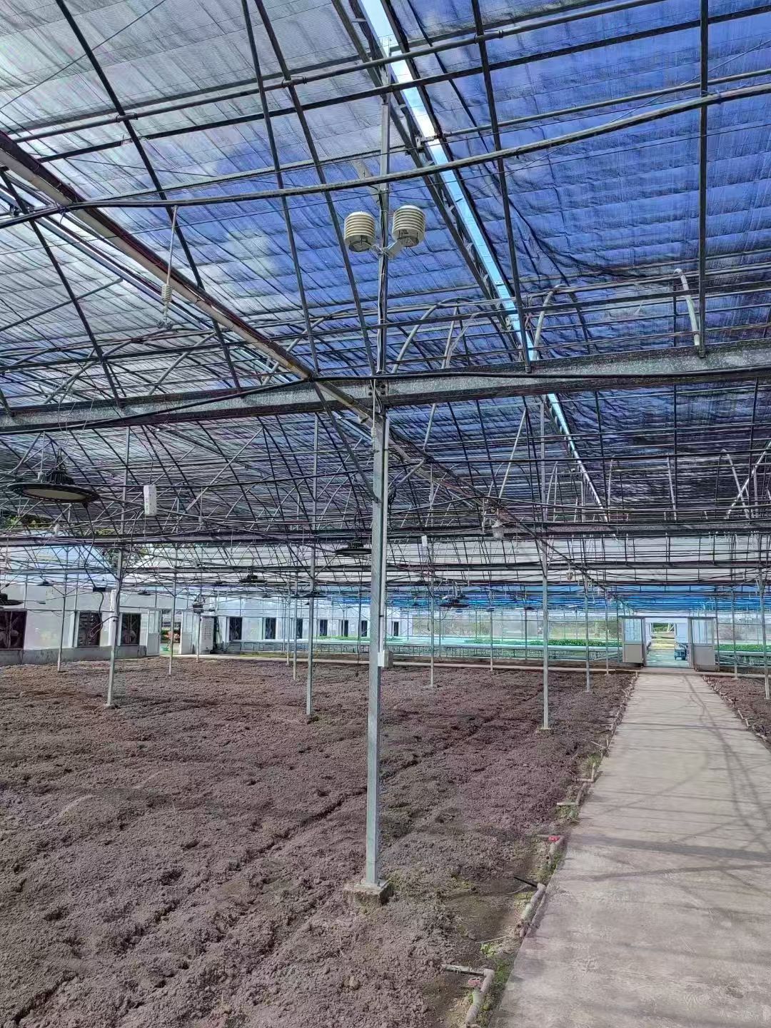 集创科技应用于西安电子科技大学智慧大棚